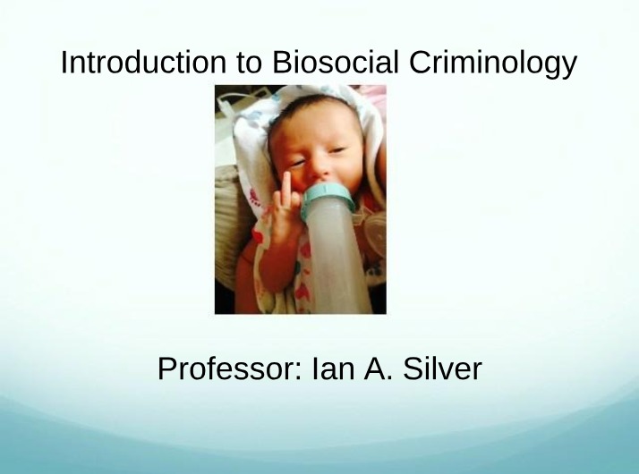 CJ 1002 Notes - Ian A. Silver 2006