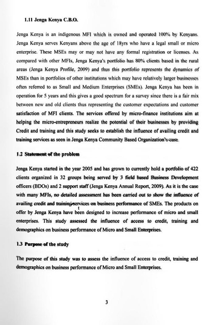 Business Performance Micro Small Enterprises Case J Copy