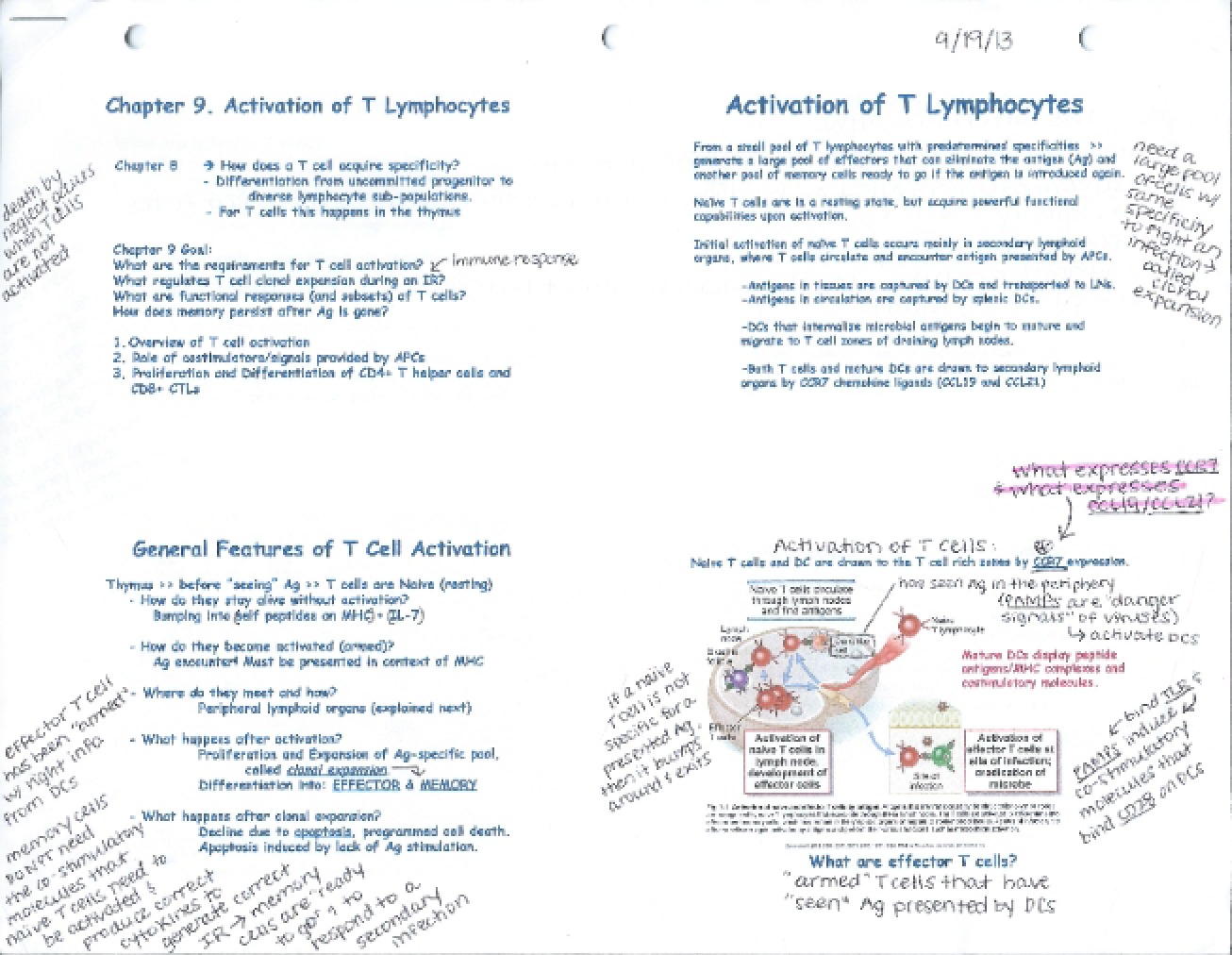 Fifth Set of Notes