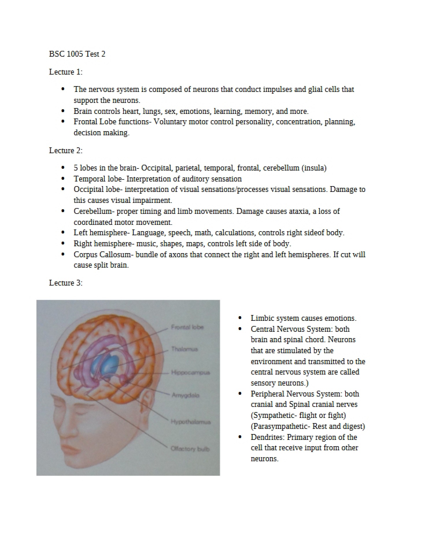 Second Major Assessment