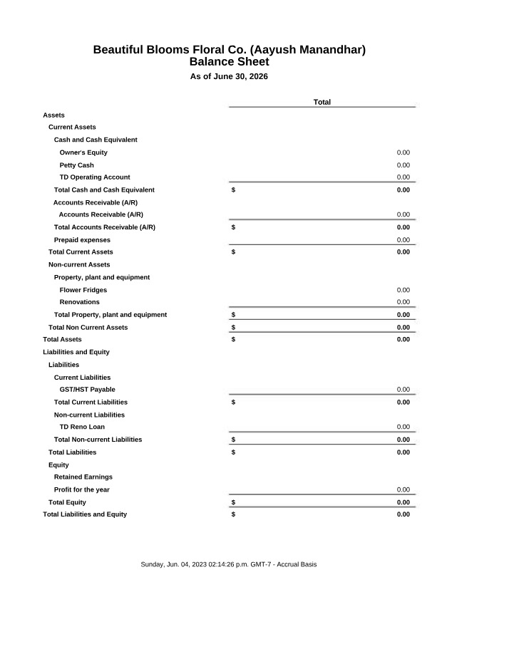 ACCT150 - Balance Sheet