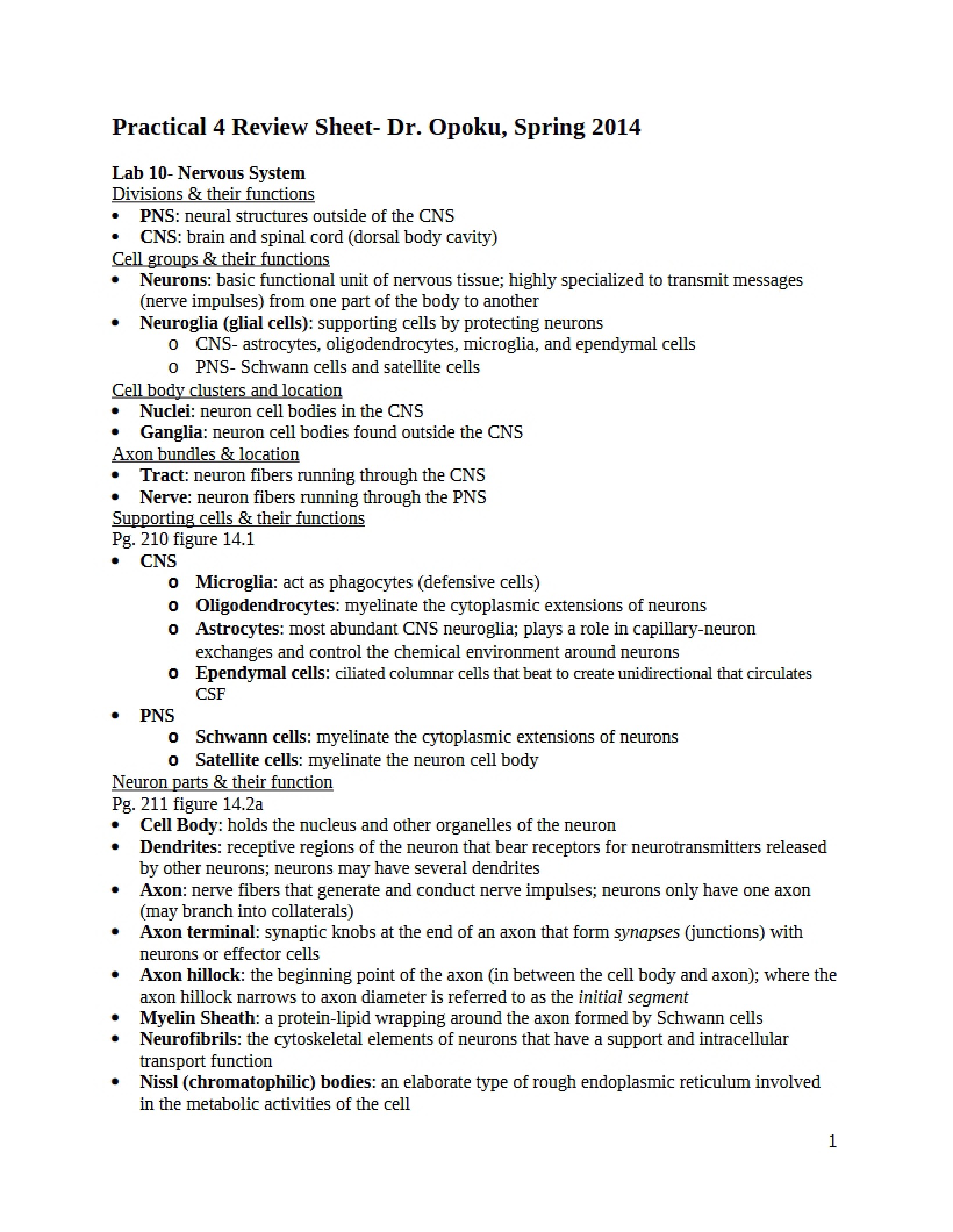 Fourth Practical Review Sheet