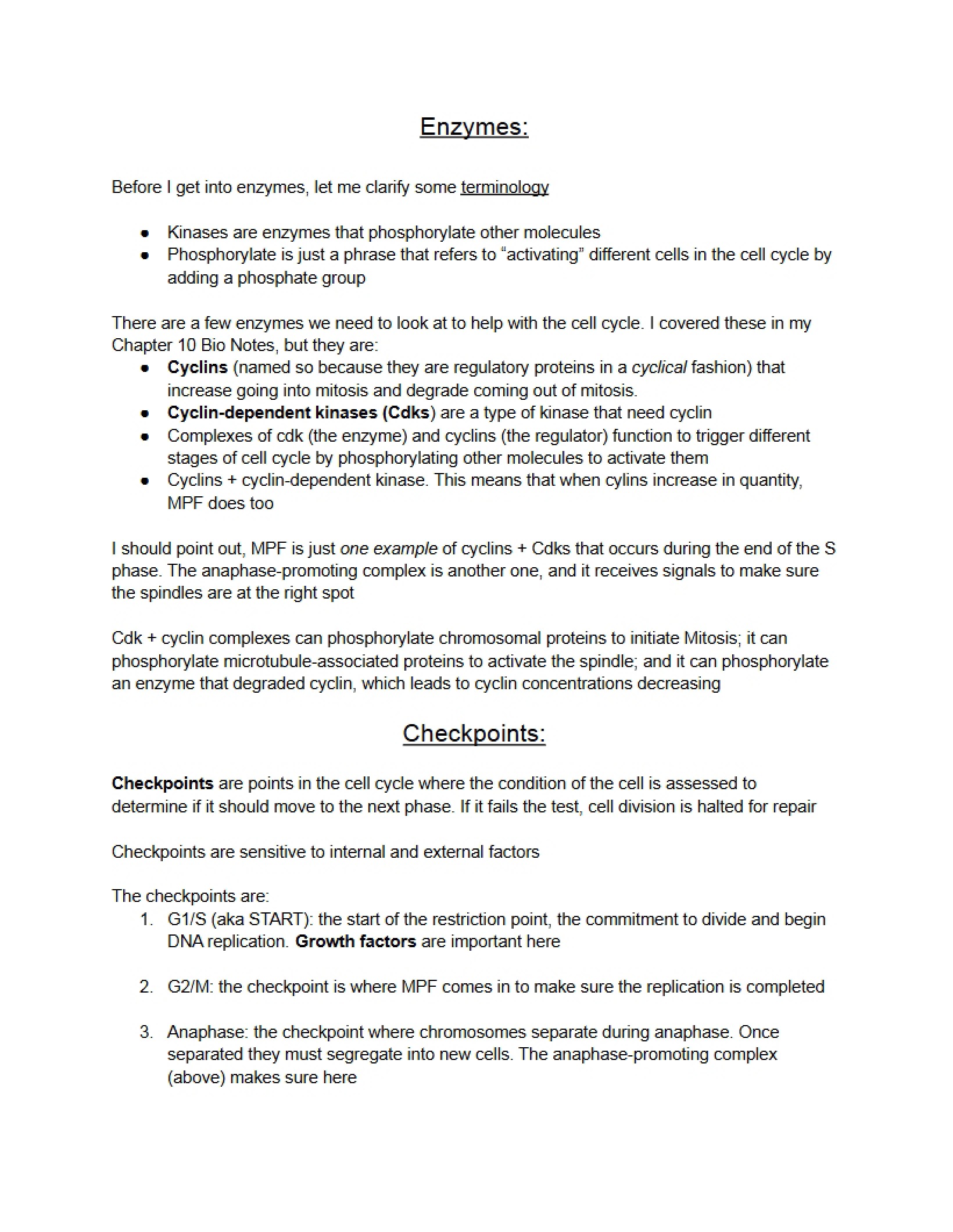 Notes Mitosis, Checkpoints, and Enzymes