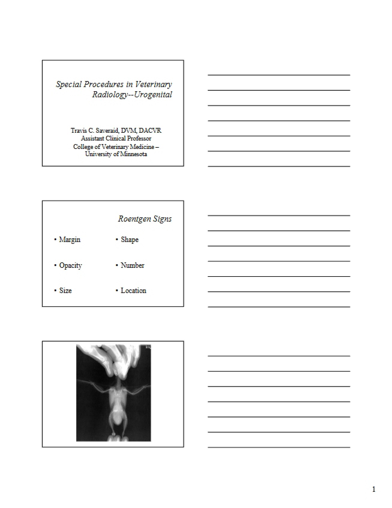 Urogenital Special Procedures in Veterinary Radiology