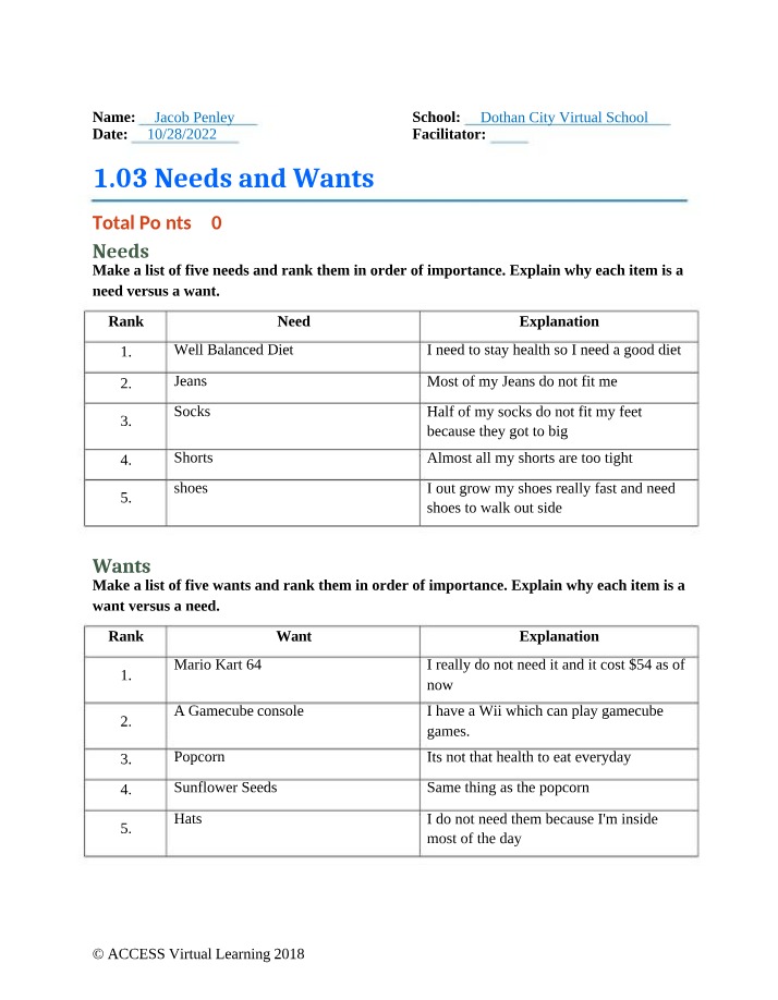GB519 Assignment - Needs and Wants