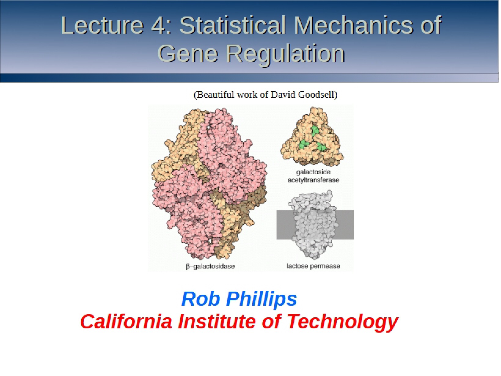 Gene Regulation Statistical Mechanics