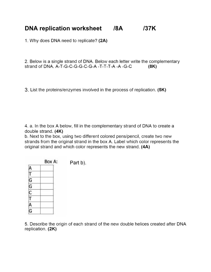Worksheet on DNA Replication