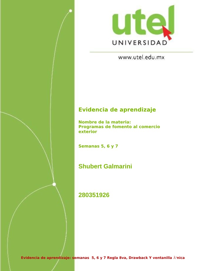 Regla octava - Programas de fomento al comercio exterior
