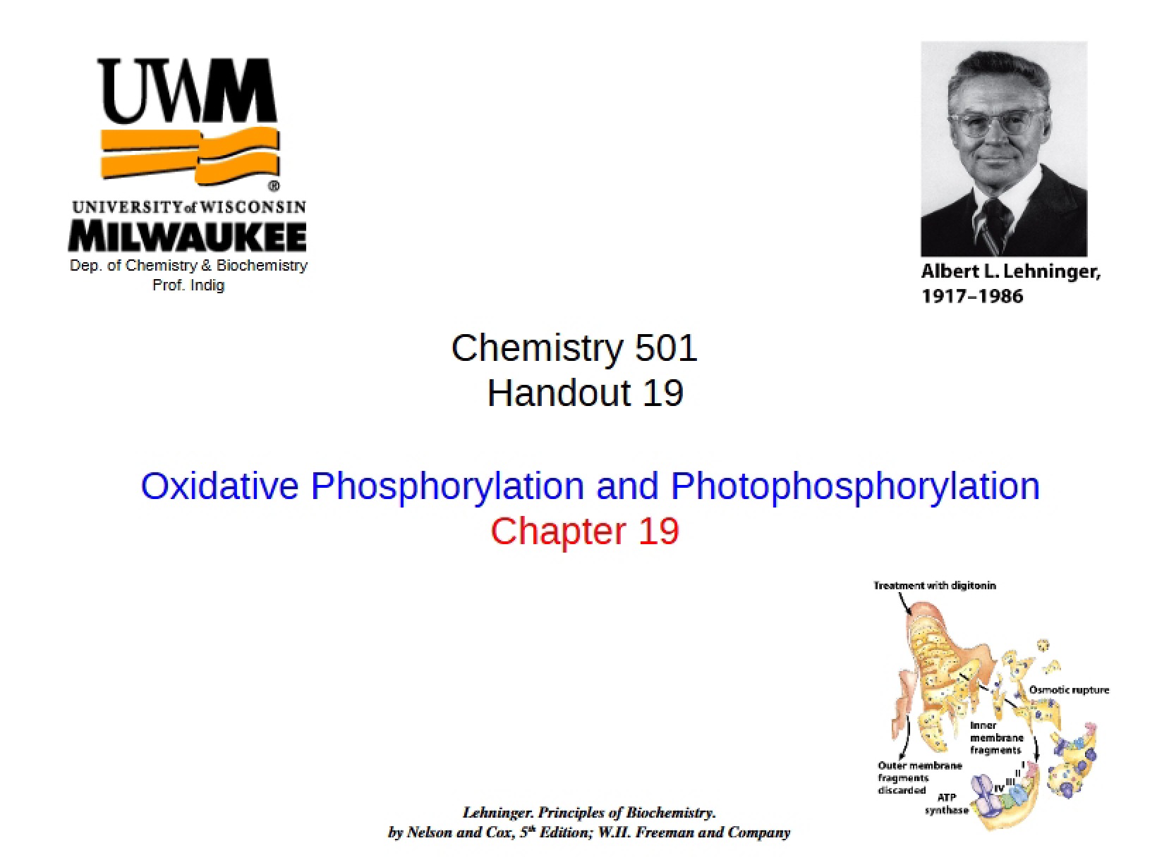 Phosphorylation Oxidative