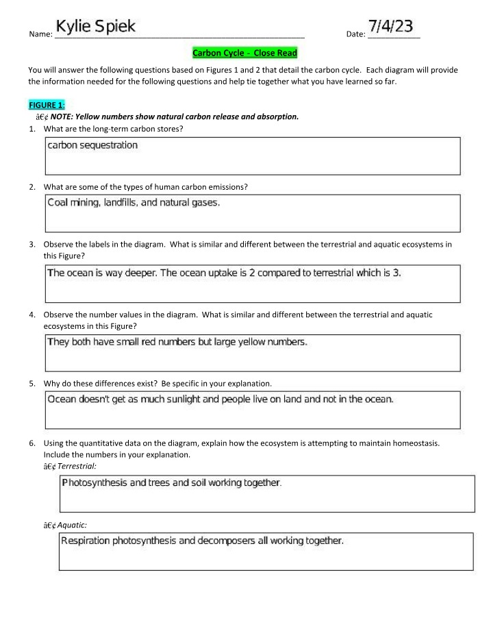 Close Read on the Carbon Cycle