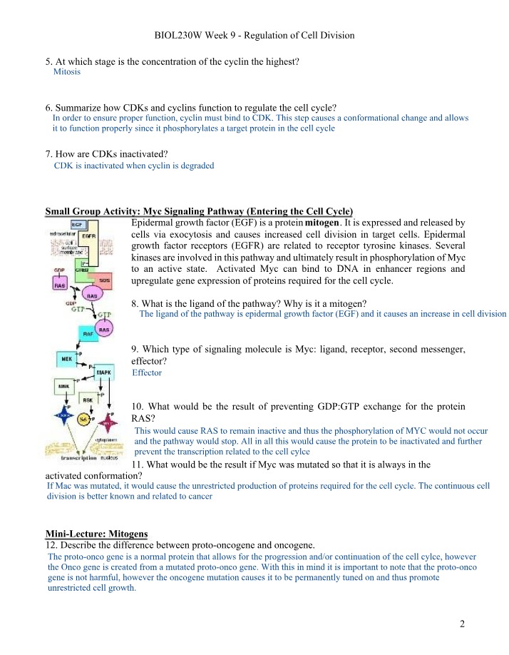 Week 9 - Course Packet