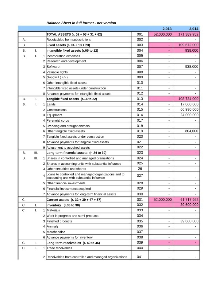 Full Format Balance Sheet - Net Version