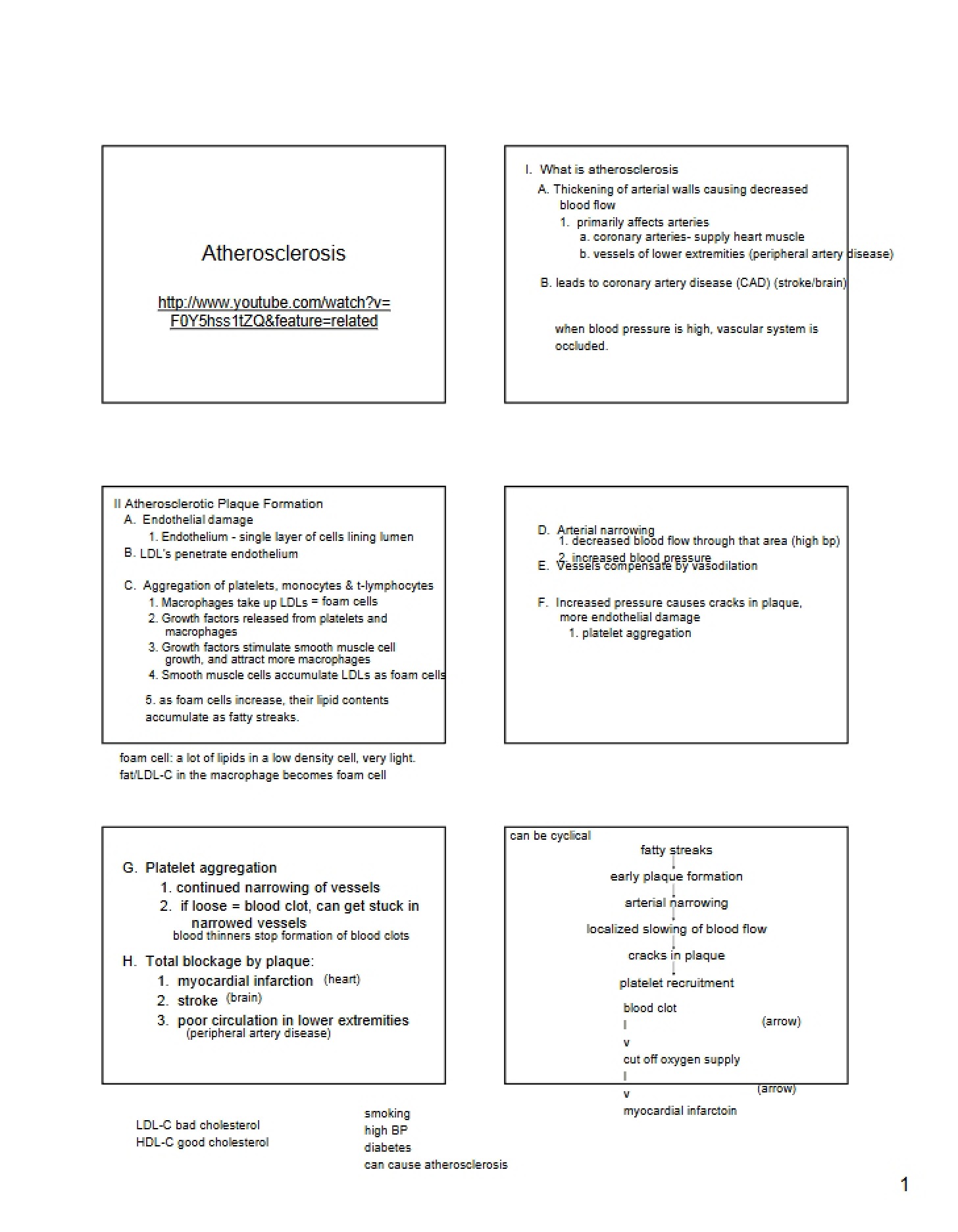 Cardiovascular Atherosclerosis Overview