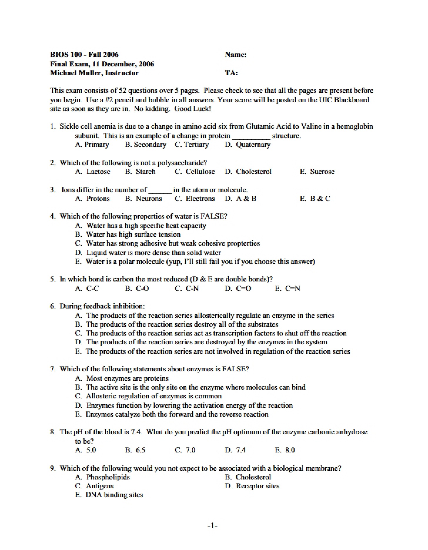 Final Assessment
