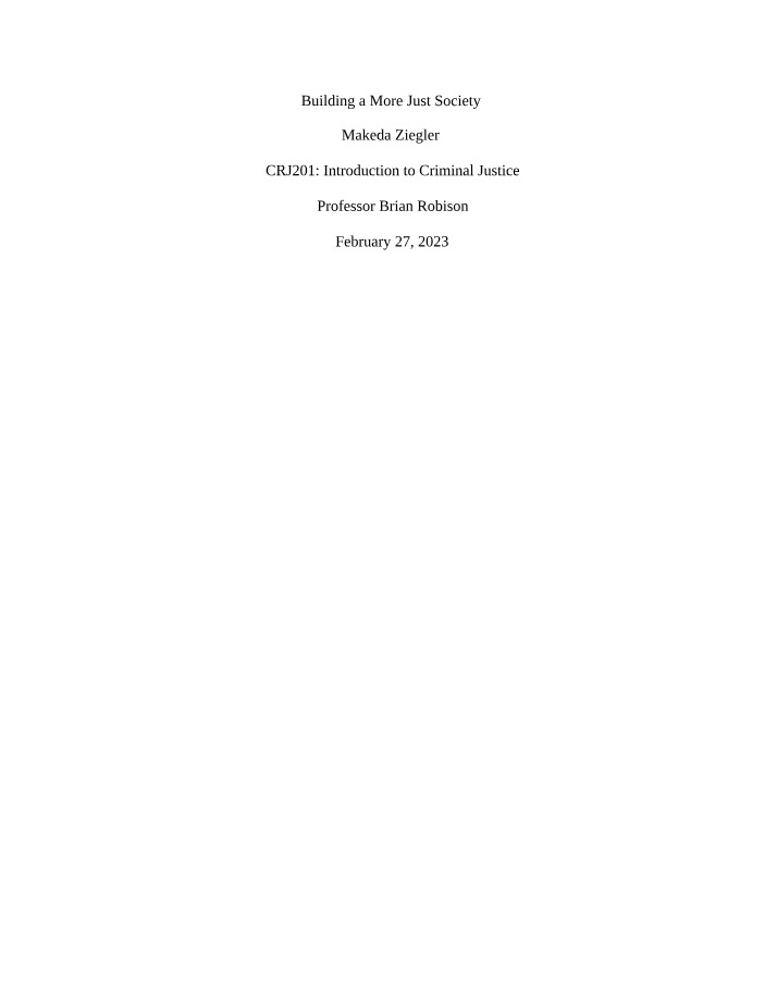 Protection of Children's Rights in the Criminal Justice System
