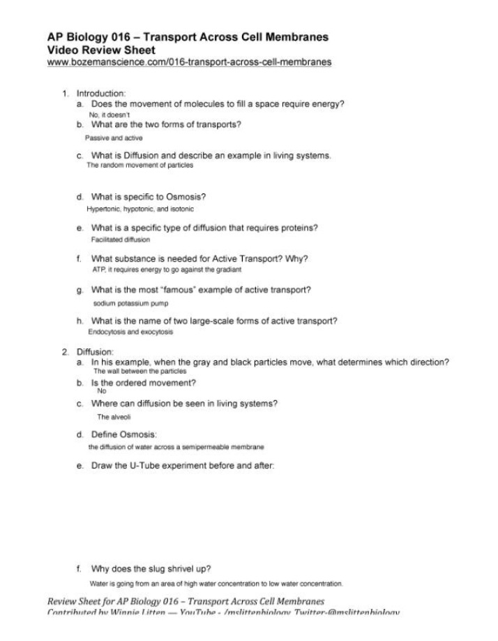 Video Review Sheet for Transport Across Cell Membranes