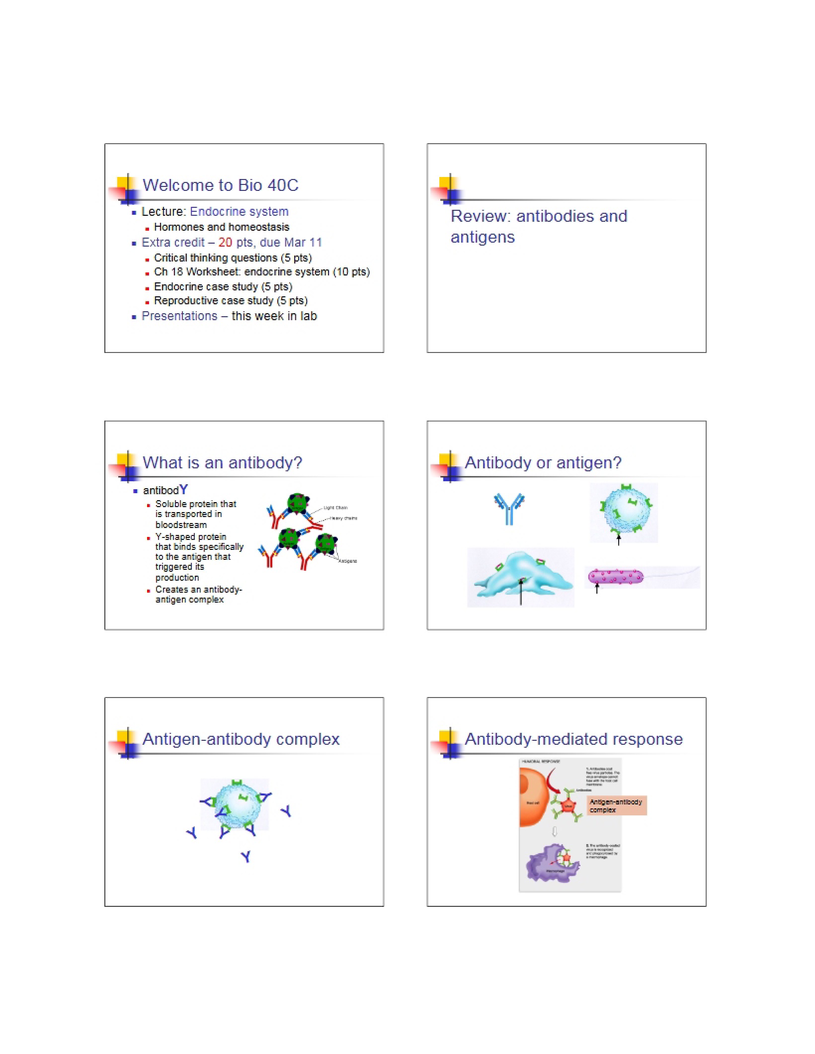 Endocrine System (Ch 18)