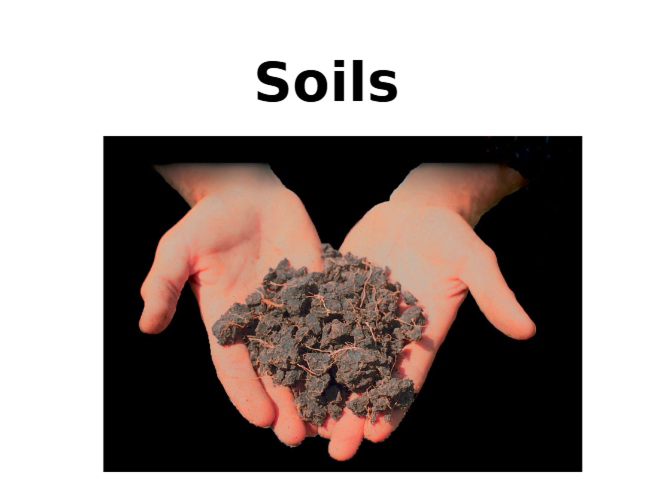 Soil Analysis