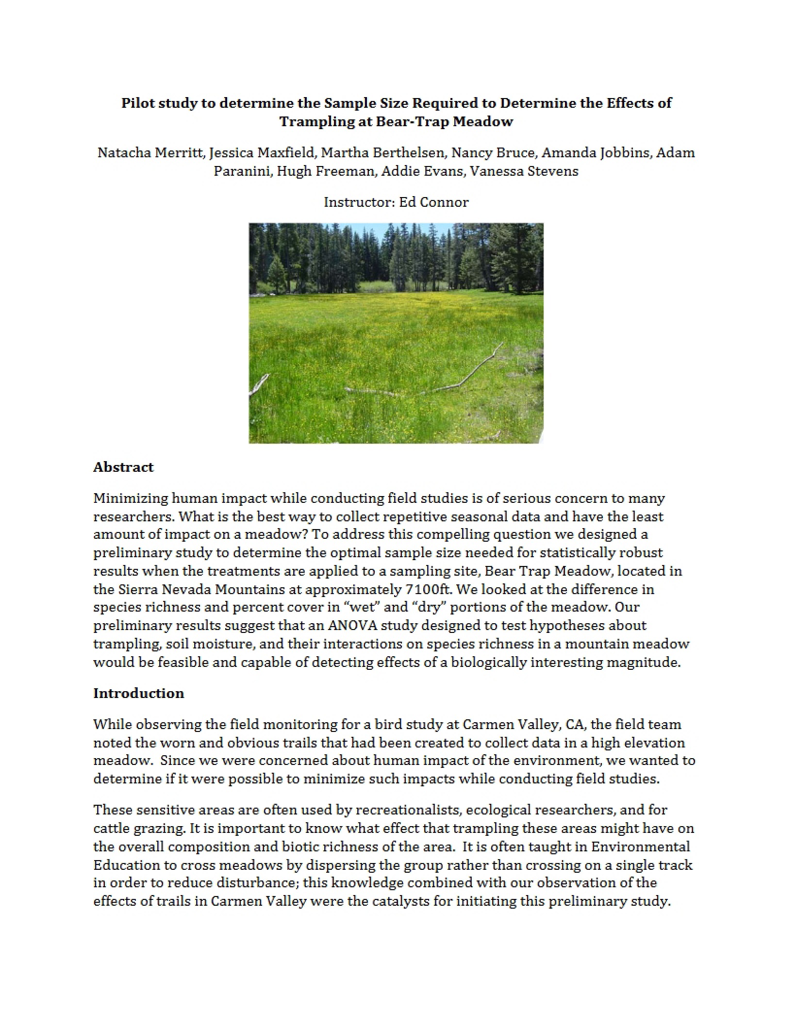 Trampling Effects at Bear Trap Meadow