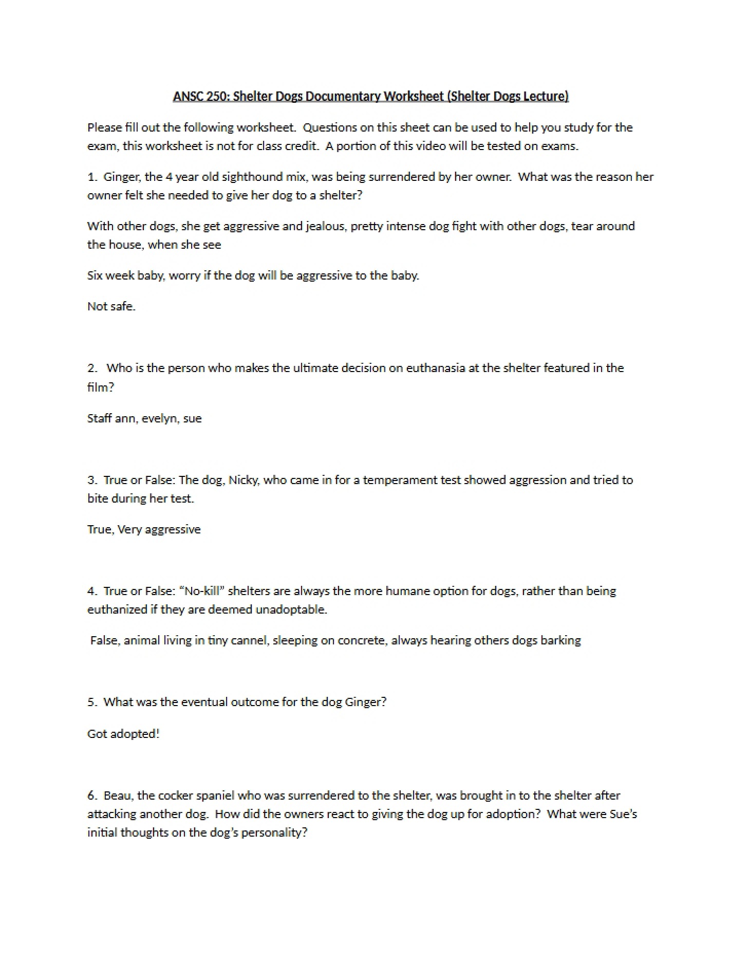 Worksheet for Shelter Animals Documentary
