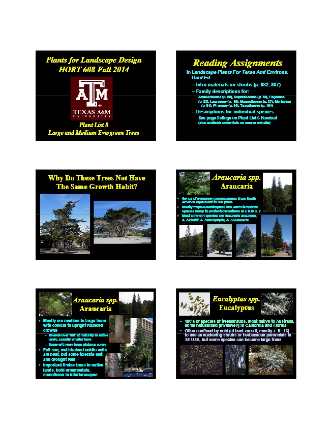 Eighth Plant List for Plants in Landscape design