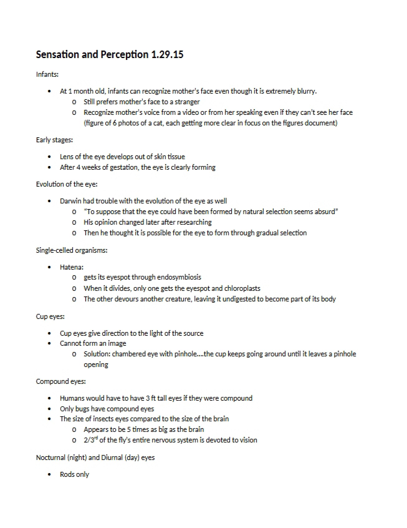 Perception and Sensation Notes III