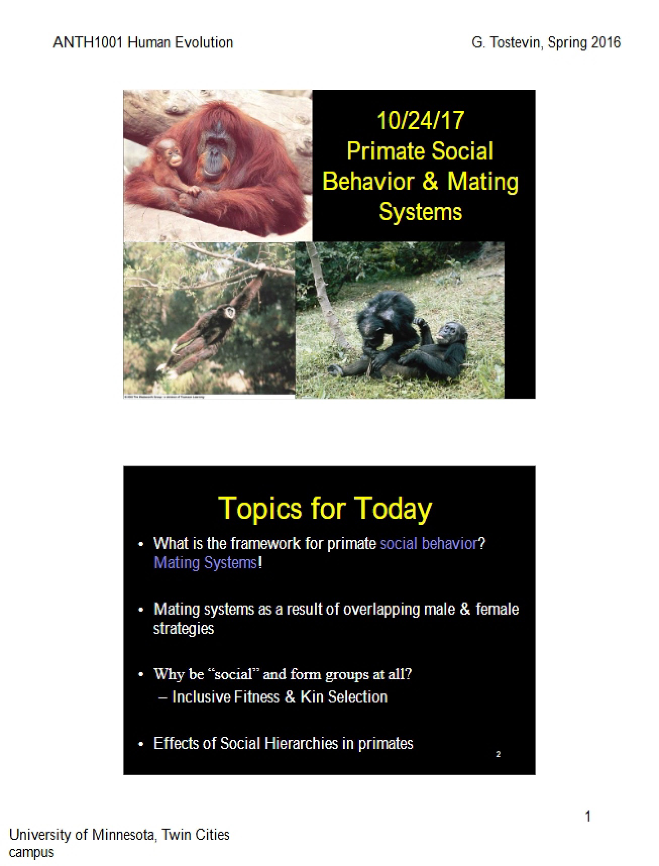 Primate Mating Systems I (Oct 24, 2017)