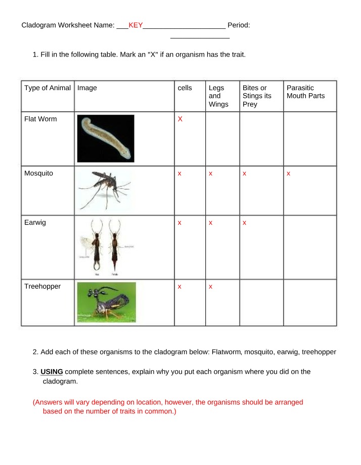 Worksheet on Cladograms
