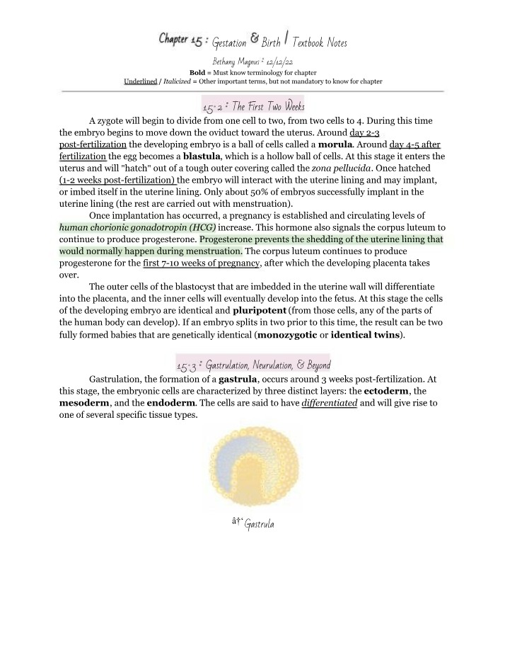 Zygote to Blastula - The First Two Weeks of Gestation