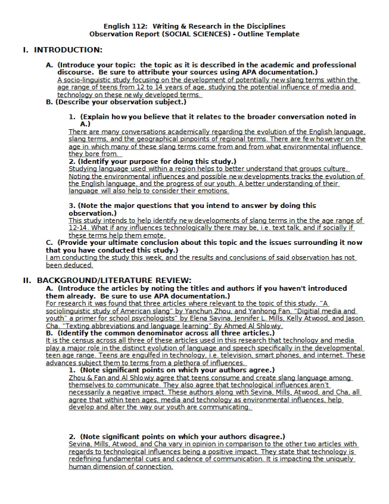 Outline Template for Social Sciences Observation Report