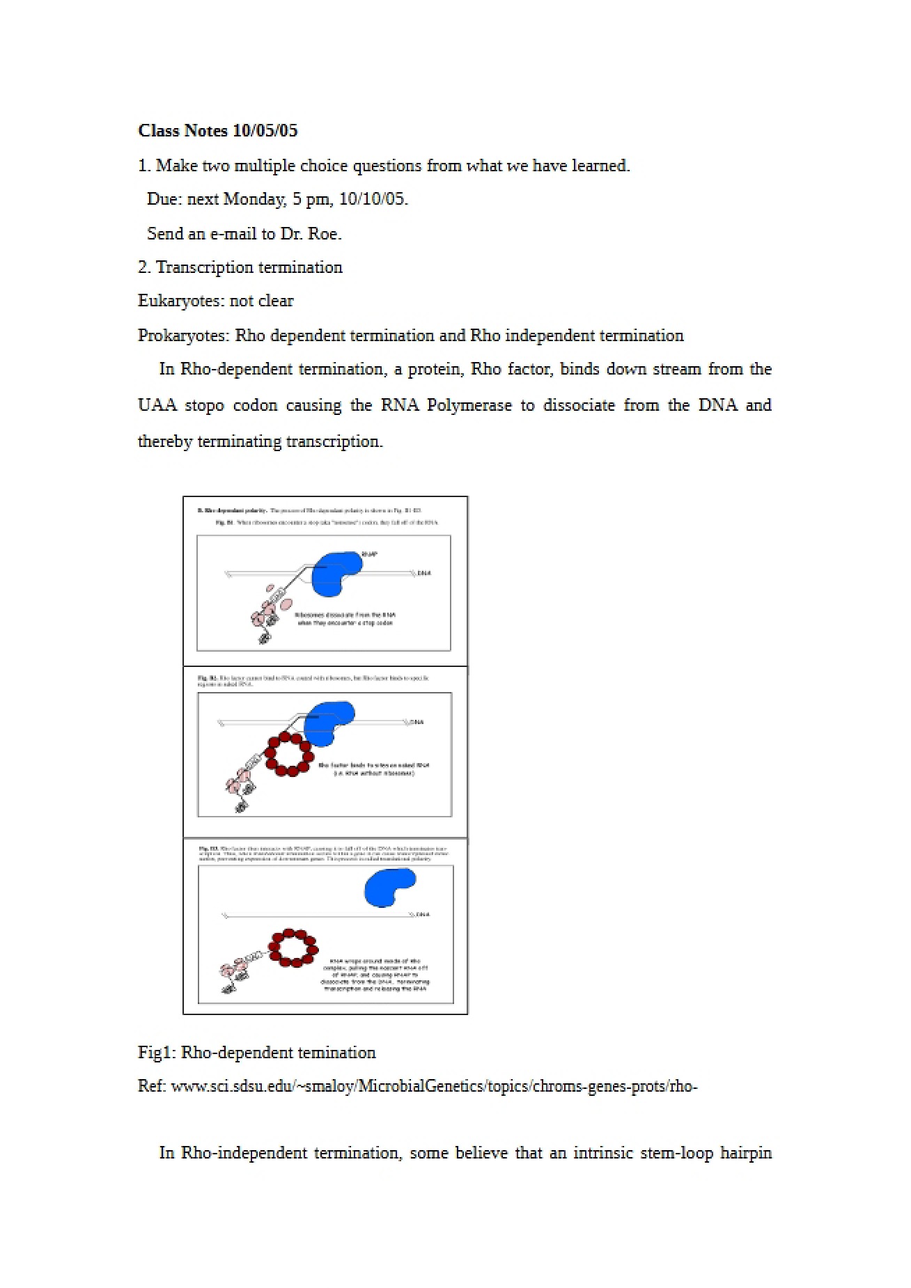 Biochemistry Study Notes