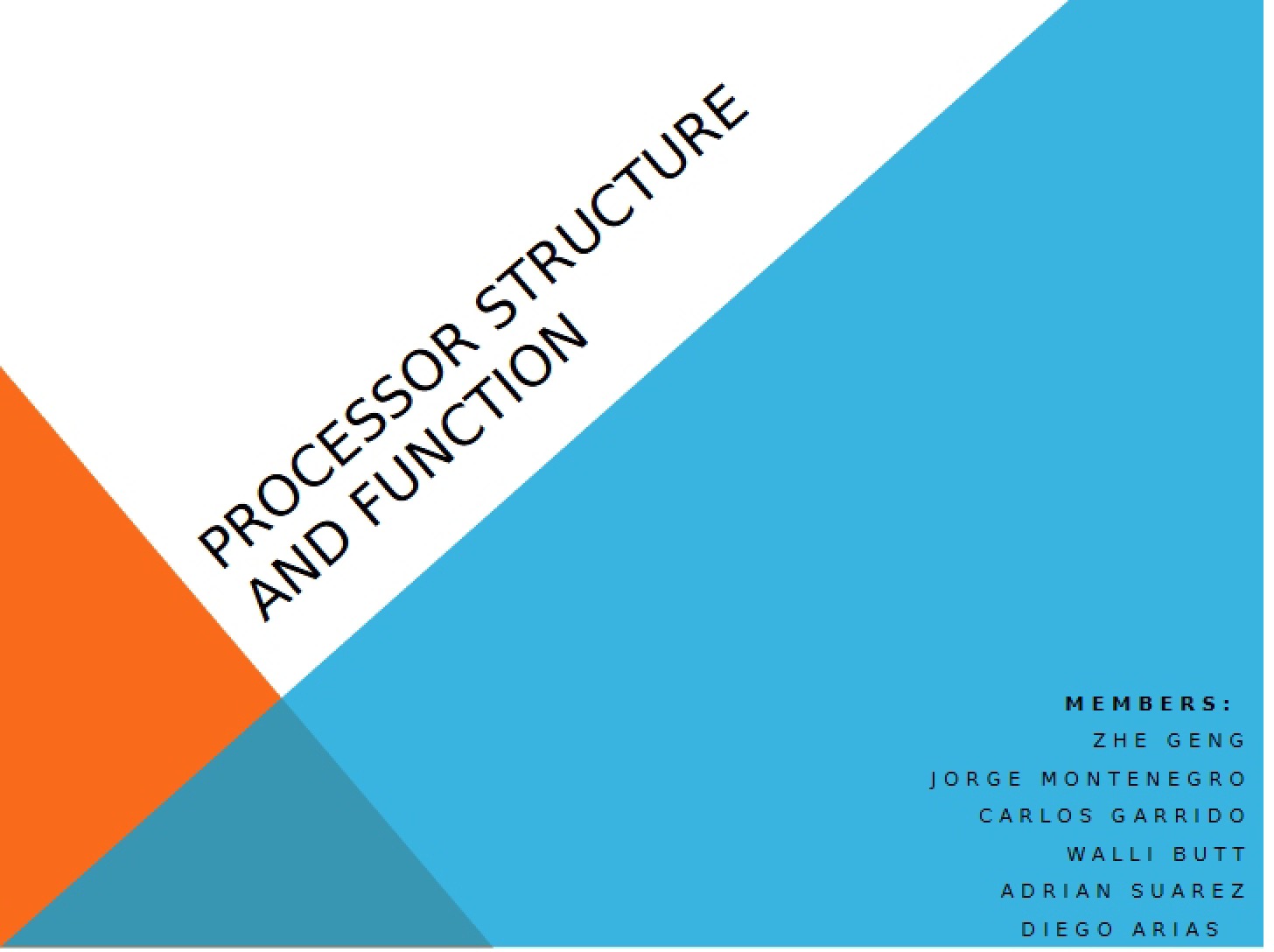 Function and Structure of Processors