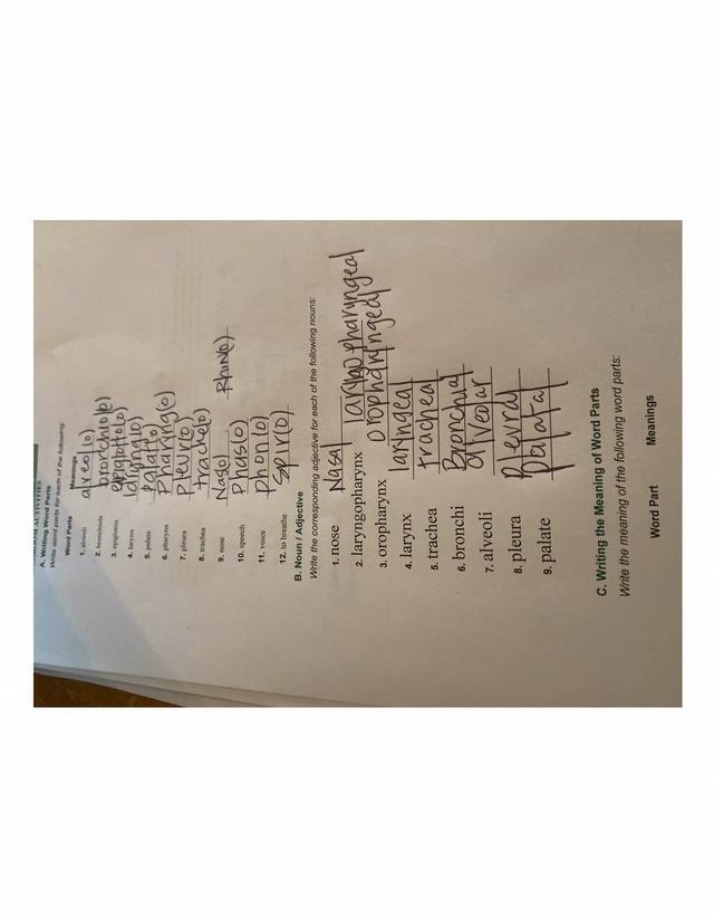 Worksheet on Meanings and Word Parts
