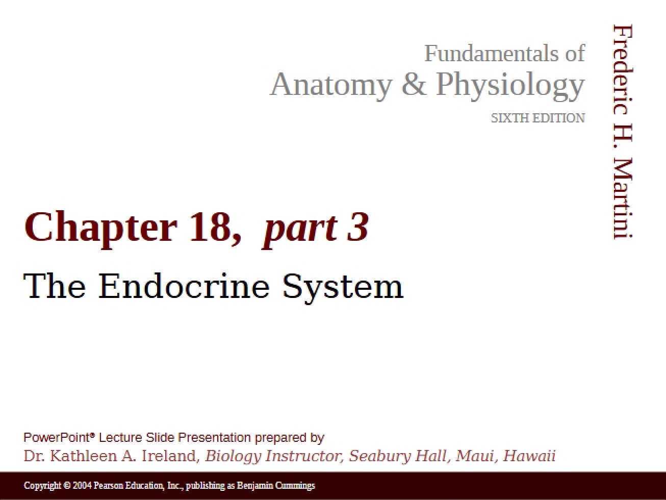 Endocrine System Overview