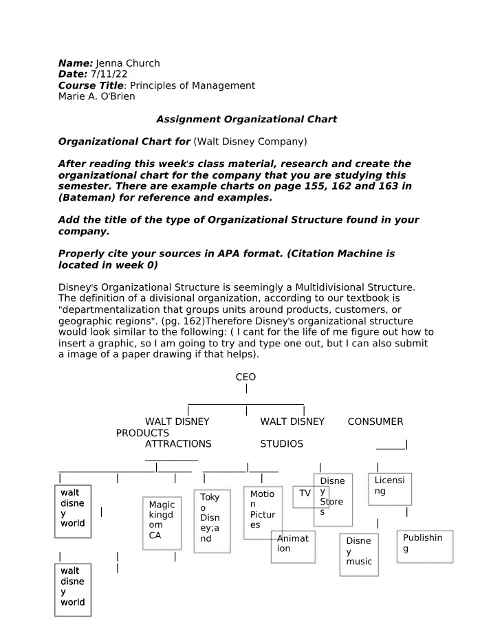 Assignment - Organizational Structure of the Walt Disney Company