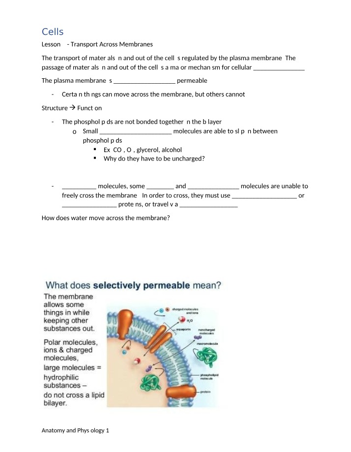 Transport Across Membranes in Cells