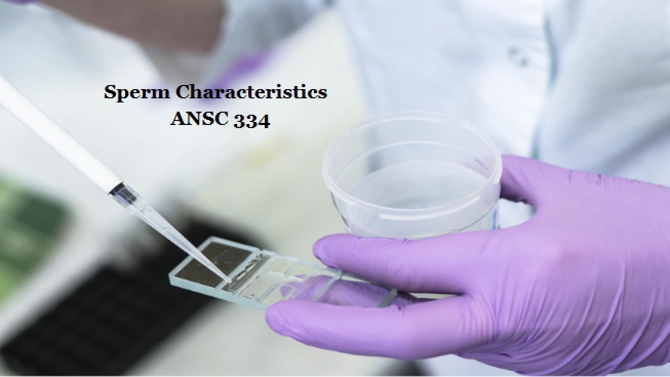 Seventh Laboratory An Overview of Sperm Characteristics and BSE