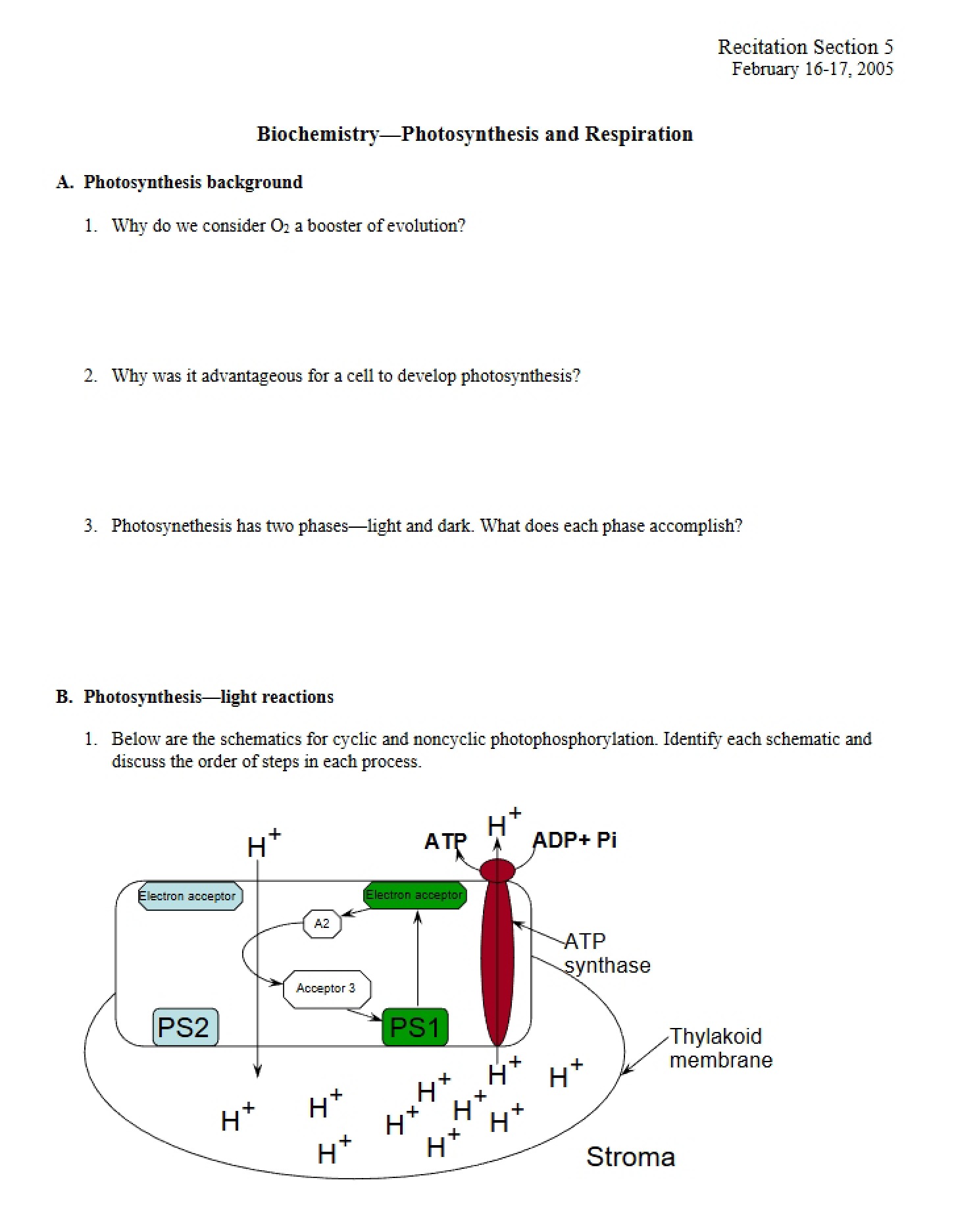 Respiration and Photosynthesis Biochemistry - 4 Pages