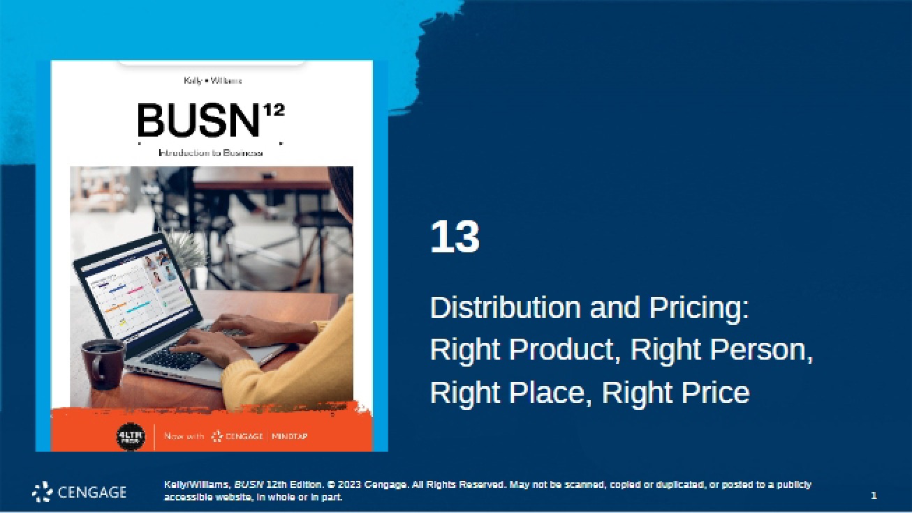 Pricing and Distribution Strategy
