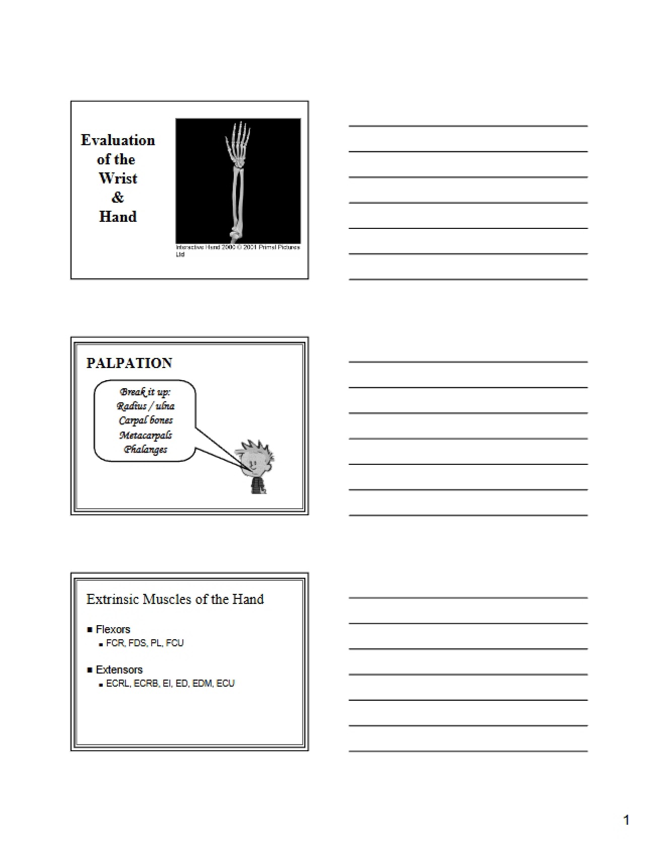 Hand and Wrist Evaluation