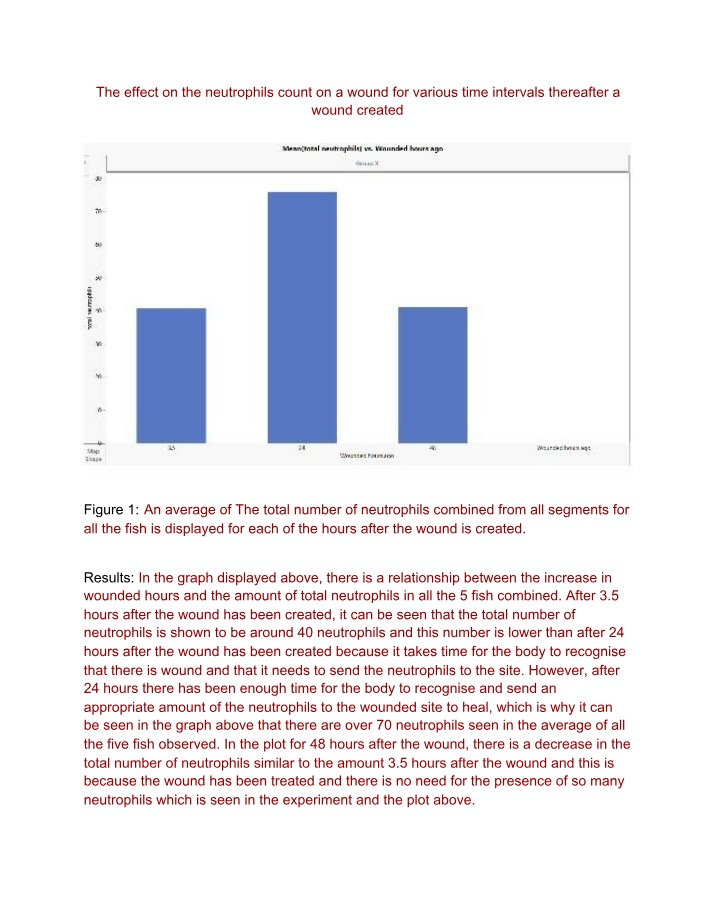 Neutrophil Count in Wounds - The Effect of Time Intervals