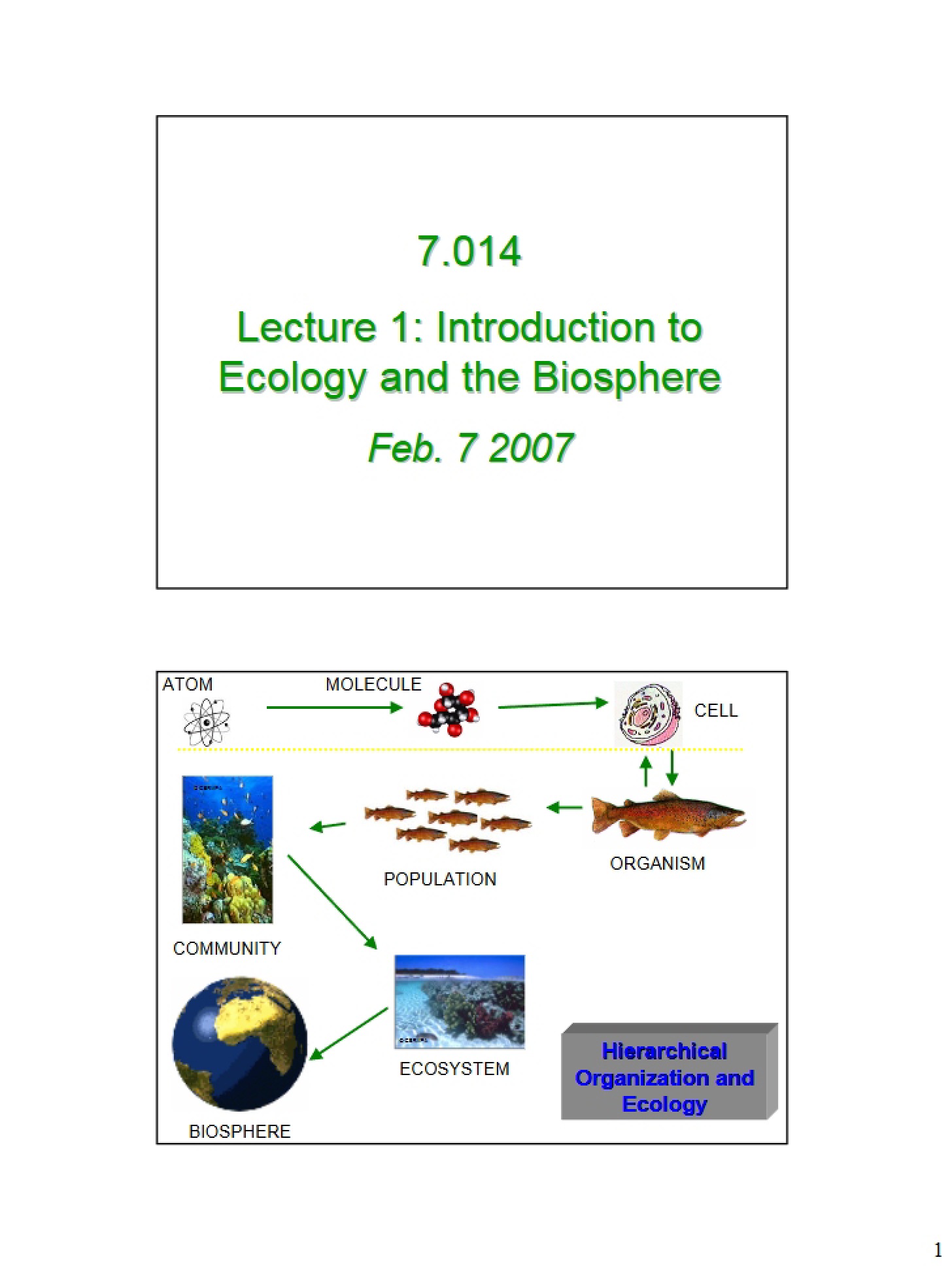 Ecology and Biosphere Introduction (Lecture 1)