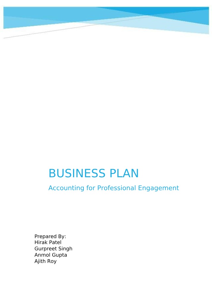 Business Plan - Accounting for Professional Engagement