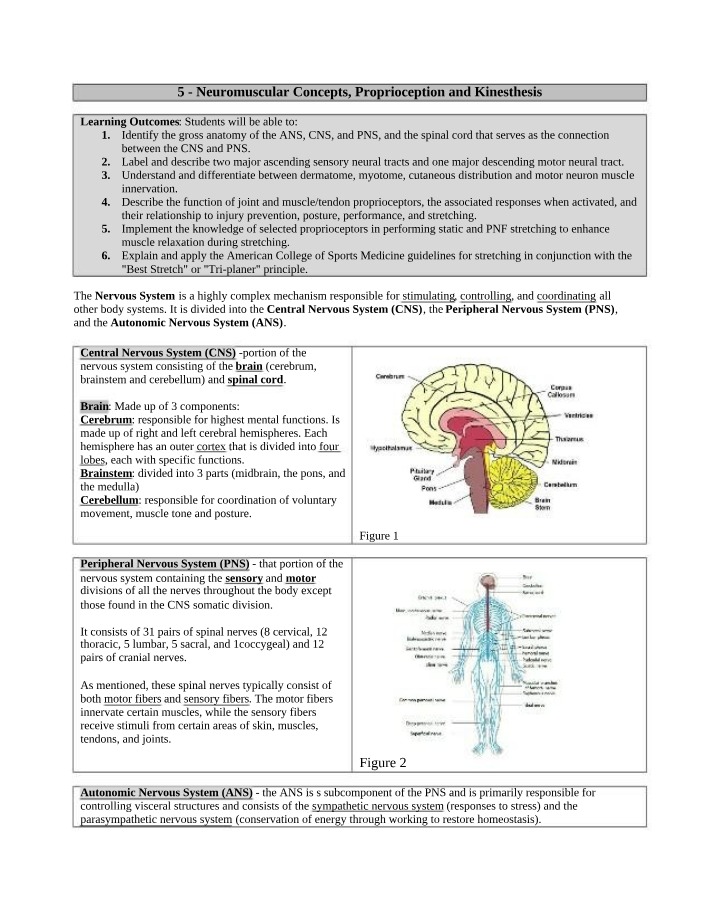 Proprioception, Kinesthesis, and Neuromuscular Concepts