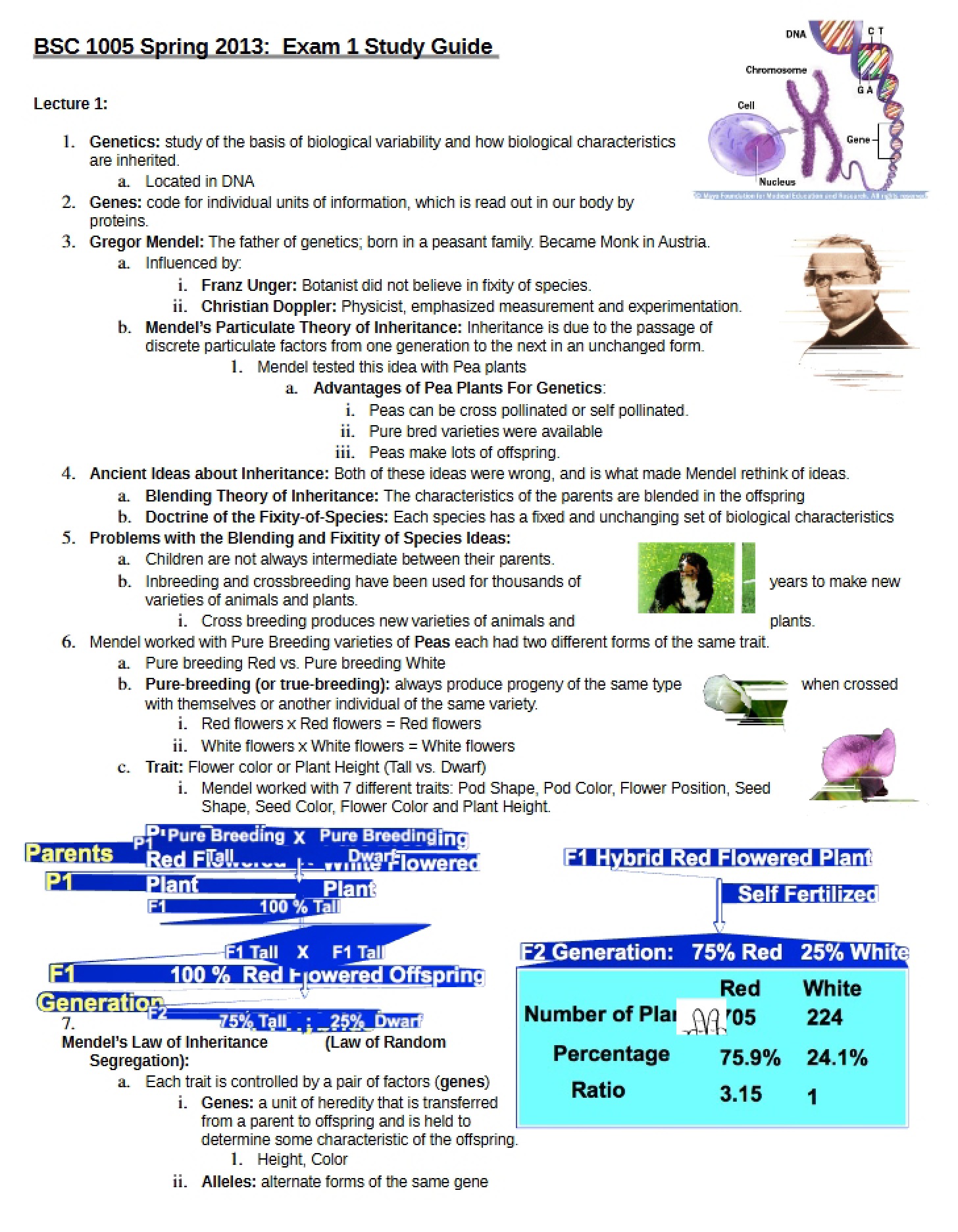 Primary Phased Evaluation
