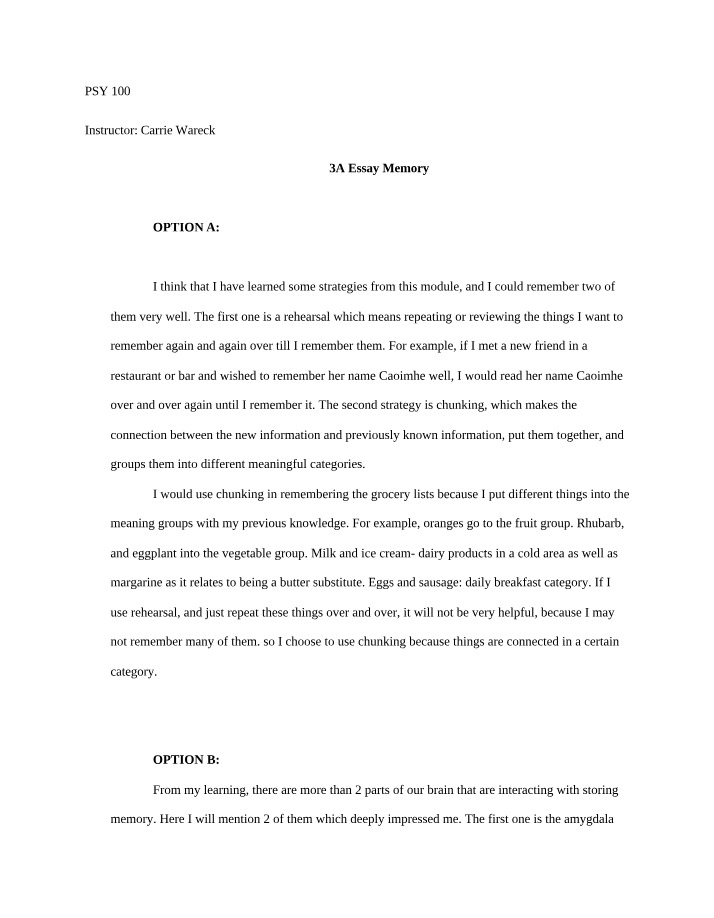 Rehearsal and Chunking Strategies for Memory