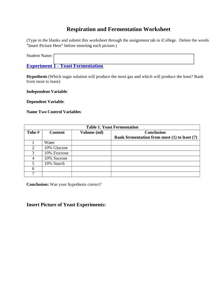 Experiments on Yeast Fermentation and Plant Respiration