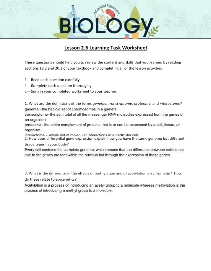 Worksheet for Lesson 2.6 Learning Task