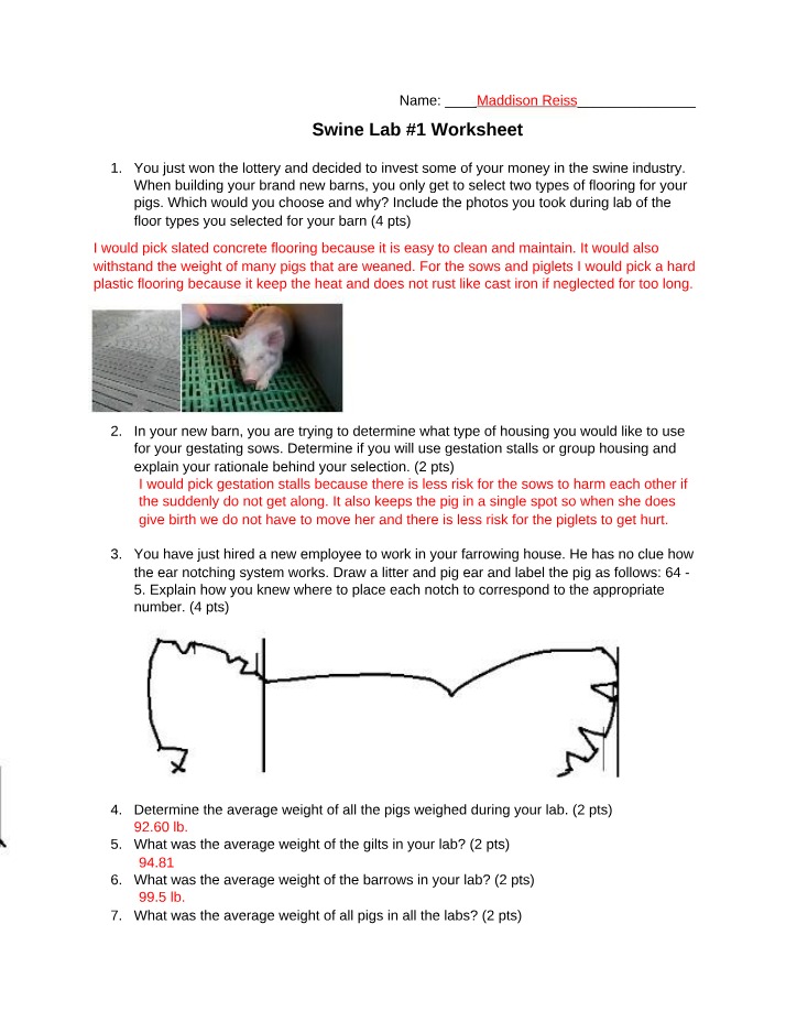 Worksheet for Swine Lab 1