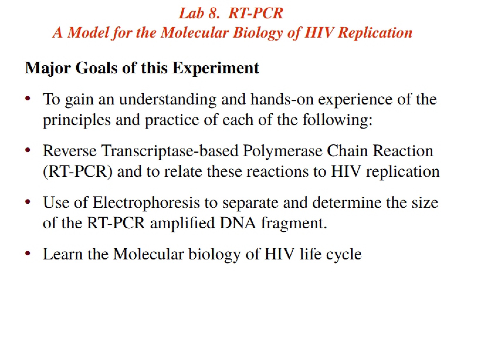 HIV Replication Model Molecular Biology